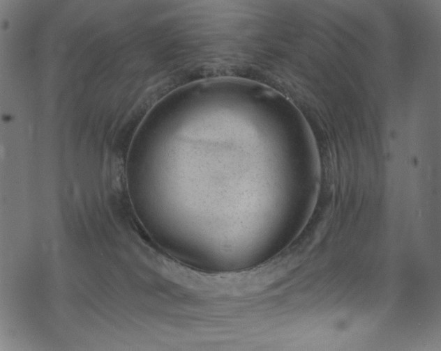 X0000074040038200608281455