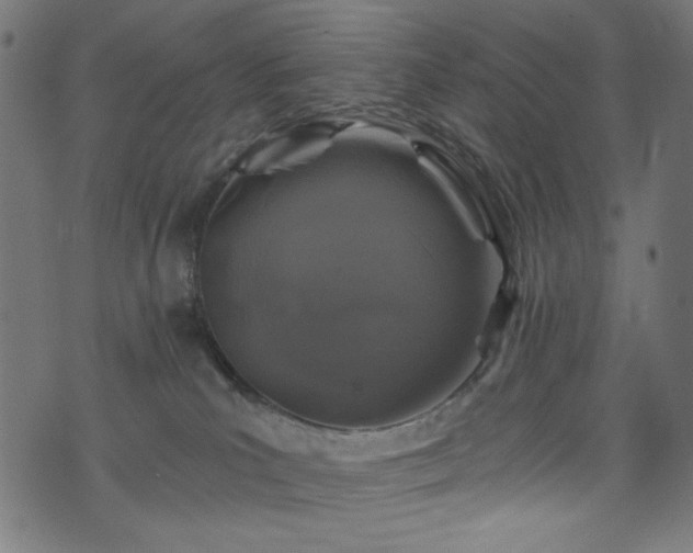 X0000074040039200608281455