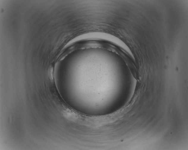 X0000074040041200608281455