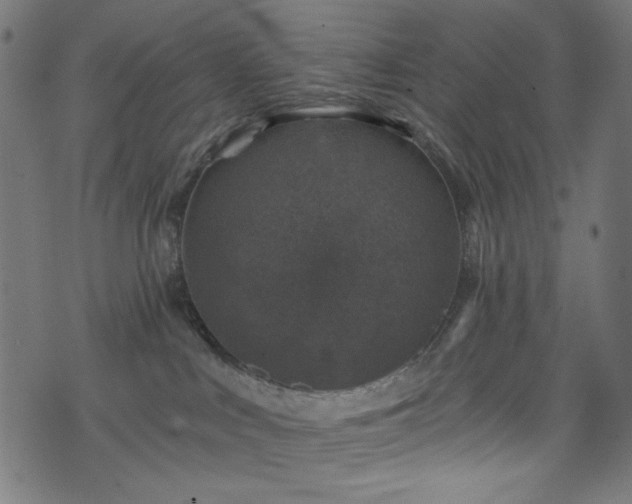 X0000074040043200608281455