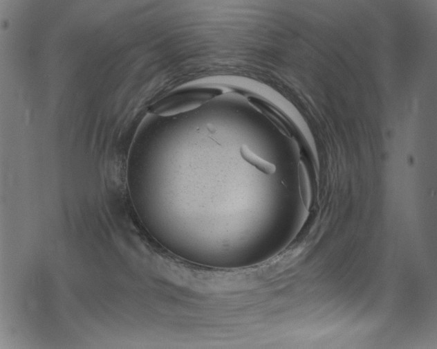 X0000074040044200608281455