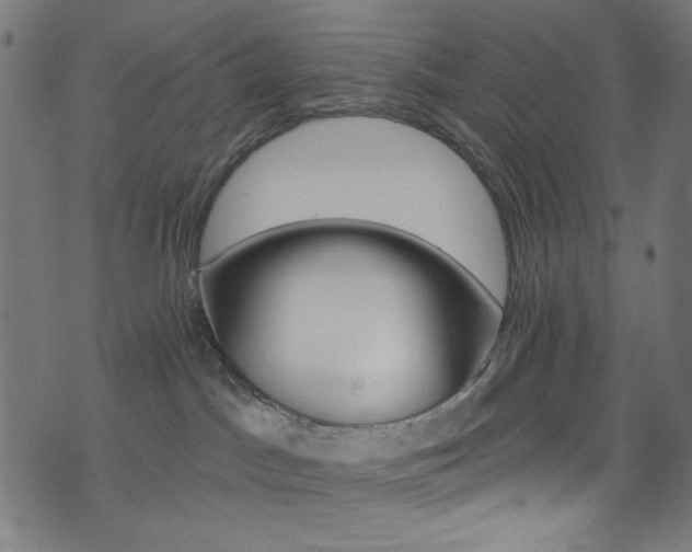 X0000074040045200608281455