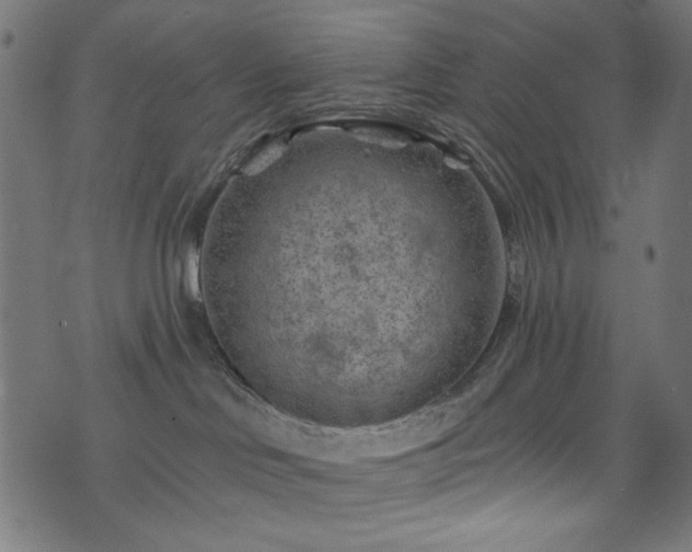 X0000074040046200608281455