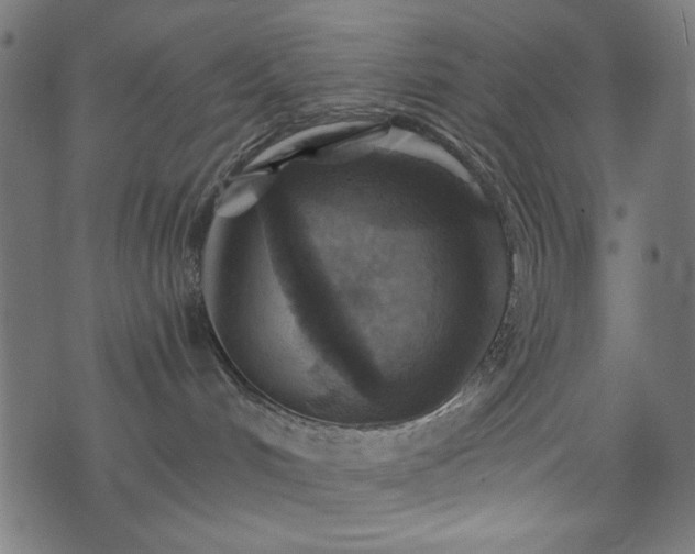 X0000074040048200608281455