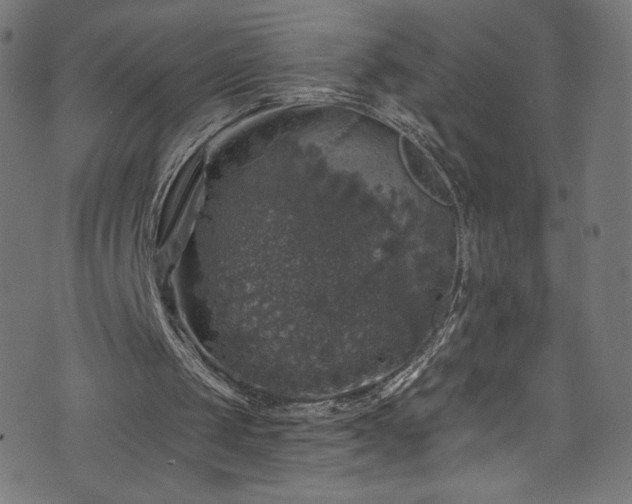 X0000074040049200608281455