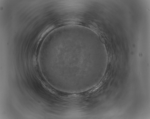 X0000074040050200608281455