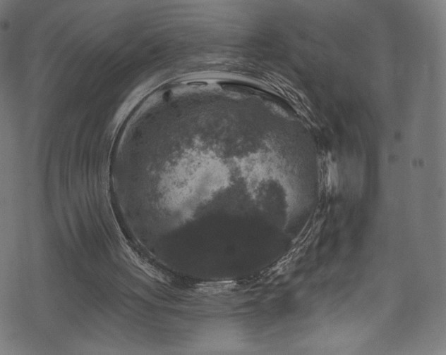 X0000074040051200608281455