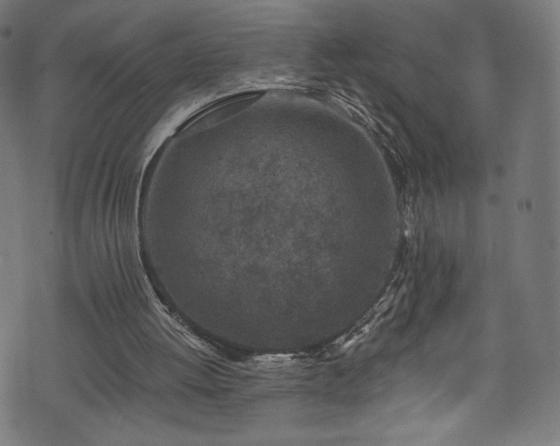 X0000074040052200608281455