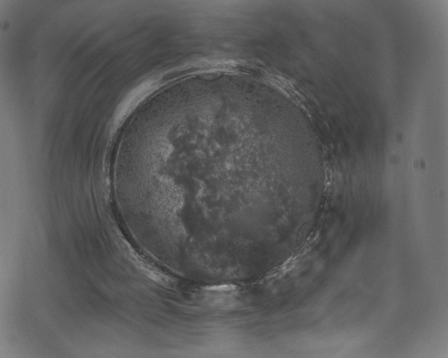 X0000074040053200608281455