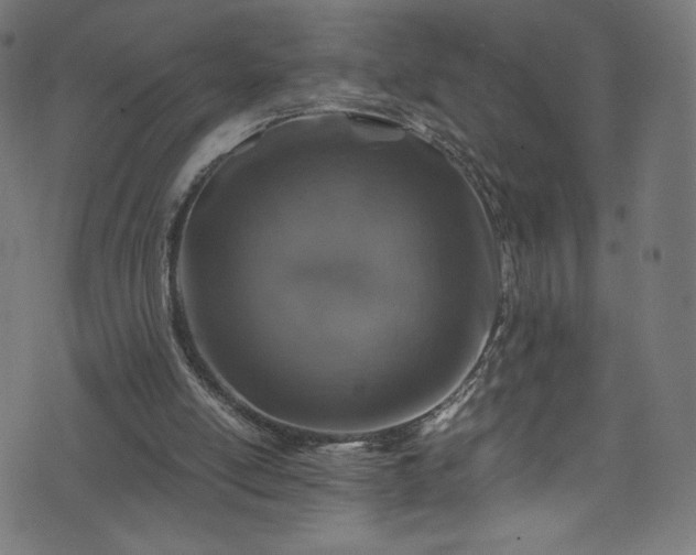 X0000074040054200608281455