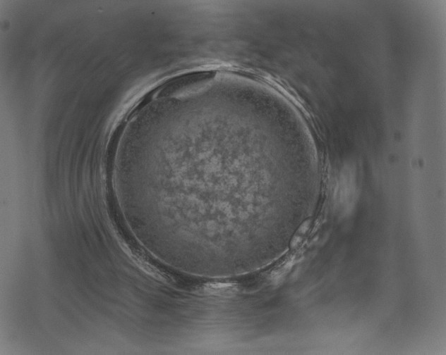 X0000074040055200608281455