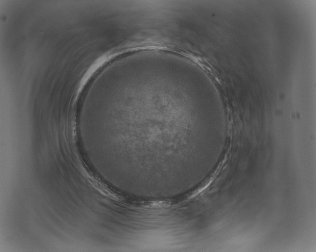 X0000074040056200608281455