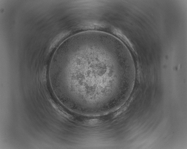 X0000074040058200608281455