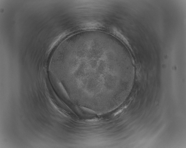 X0000074040059200608281455