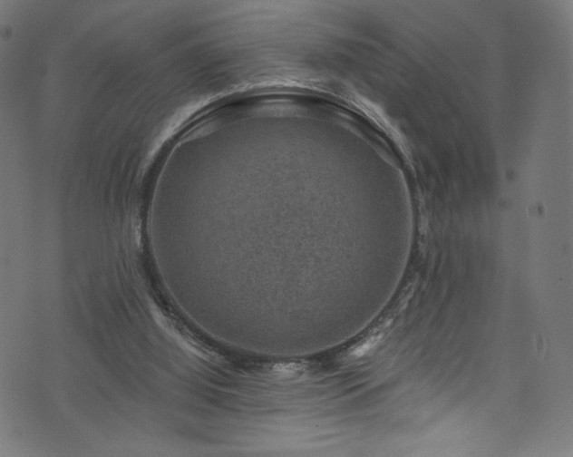 X0000074040060200608281455