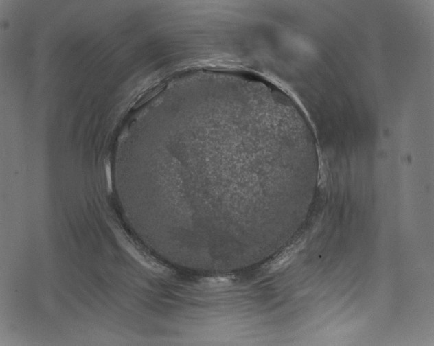 X0000074040061200608281455