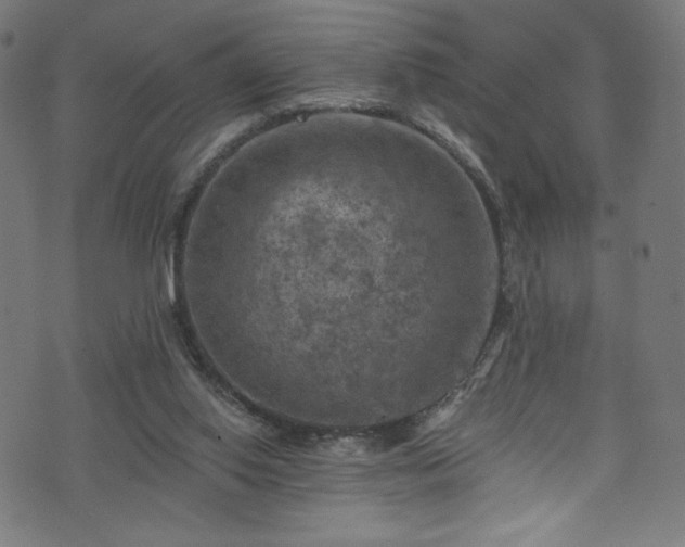 X0000074040062200608281455