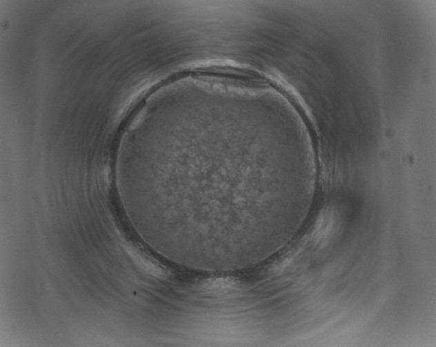 X0000074040063200608281455