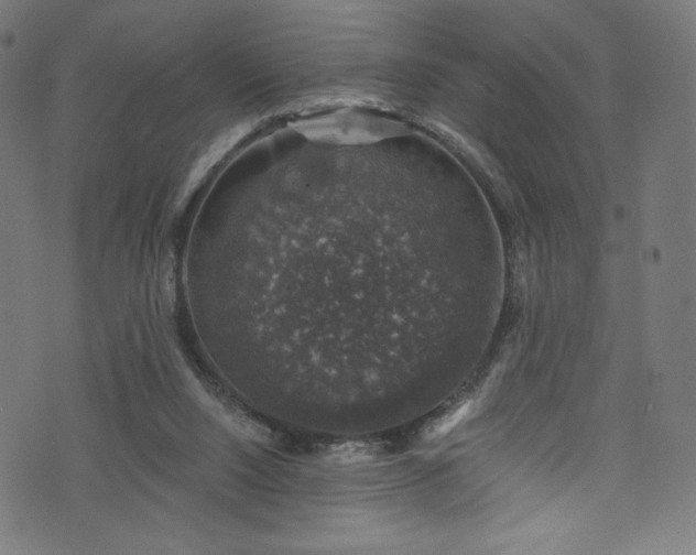 X0000074040064200608281455