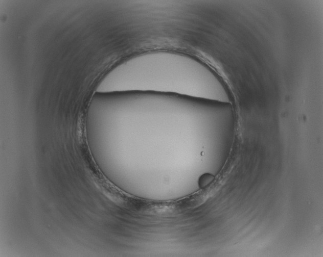 X0000074040065200608281455