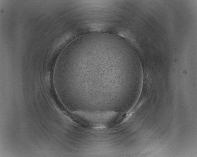 X0000074040066200608281455