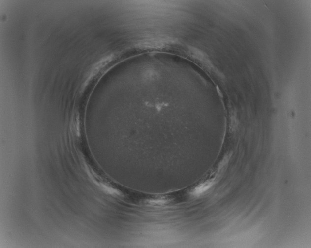 X0000074040068200608281455