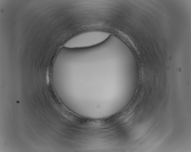 X0000074040069200608281455