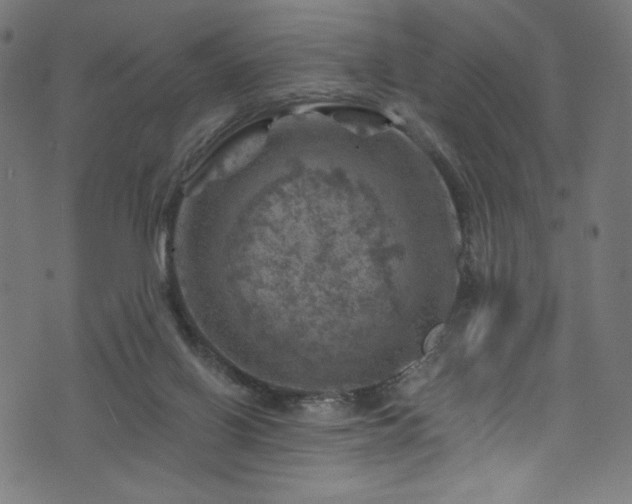 X0000074040070200608281455