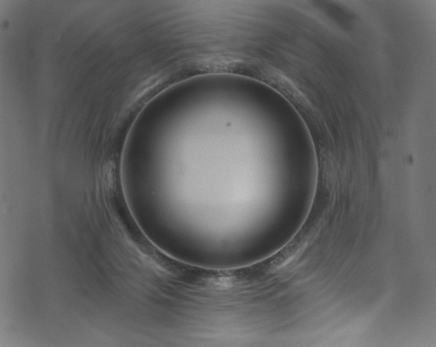 X0000074040071200608281455