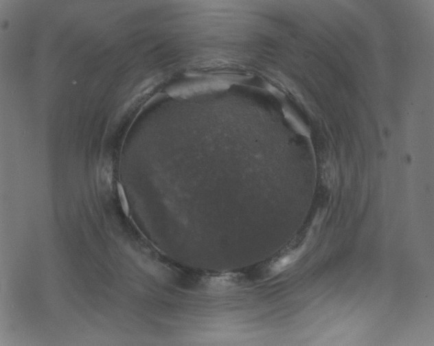 X0000074040072200608281455