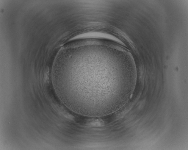 X0000074040073200608281455