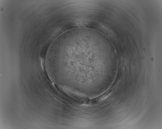 X0000074040075200608281455