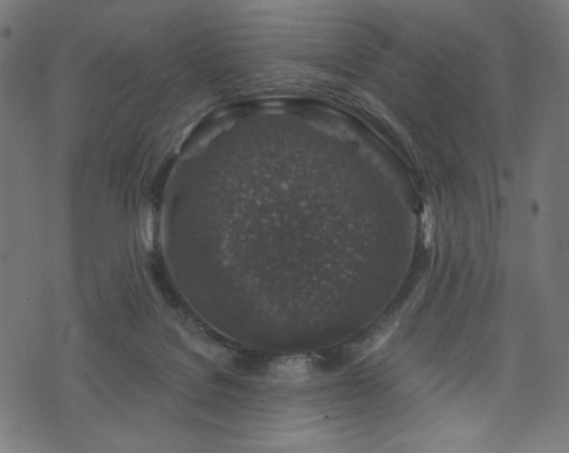 X0000074040076200608281455