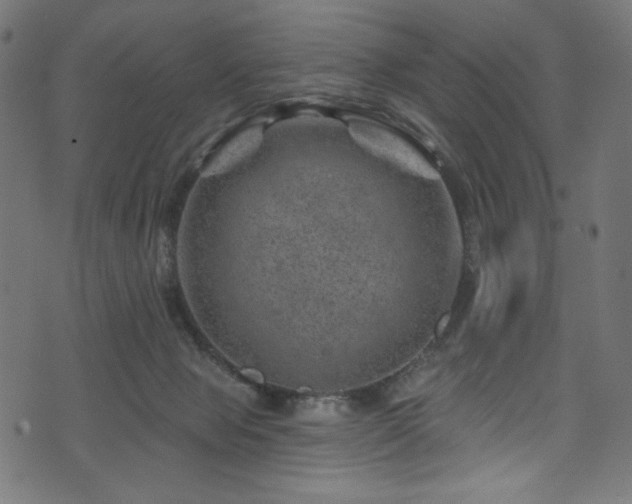 X0000074040077200608281455