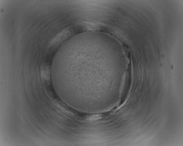 X0000074040078200608281455