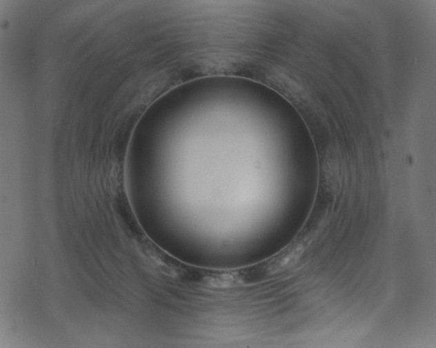 X0000074040079200608281455