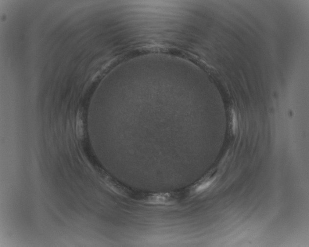 X0000074040080200608281455