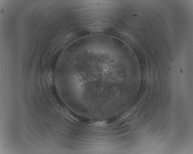 X0000074040081200608281455