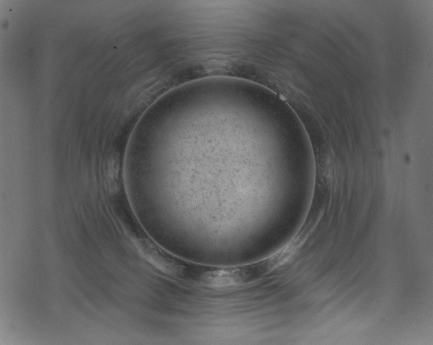 X0000074040082200608281455