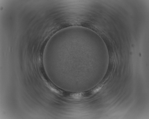 X0000074040084200608281455