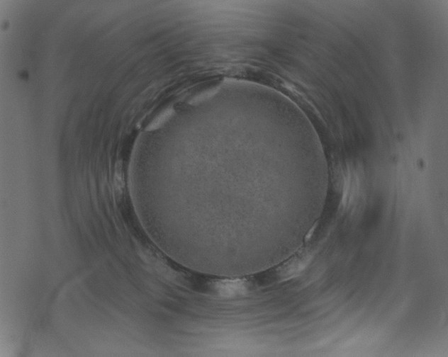 X0000074040085200608281455