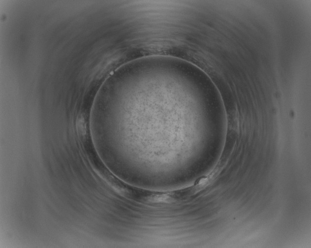 X0000074040086200608281455