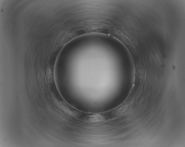 X0000074040087200608281455