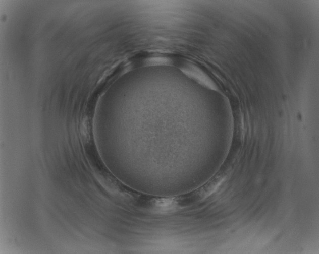 X0000074040088200608281455