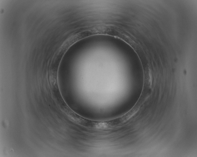 X0000074040091200608281455