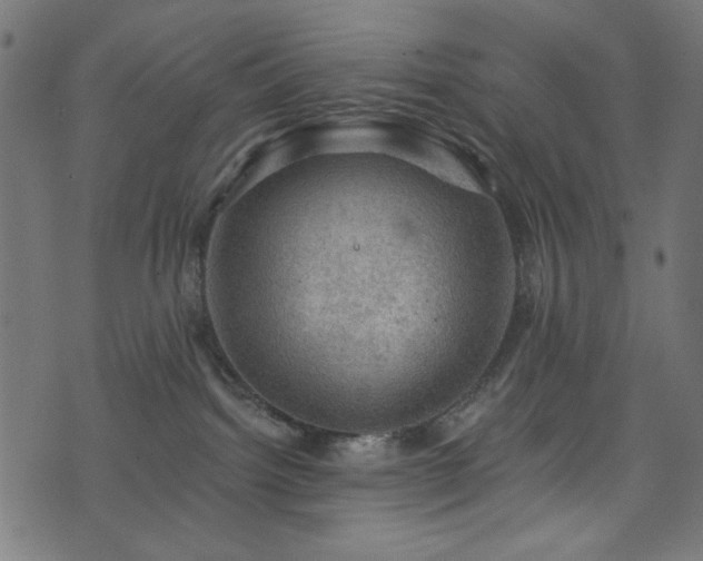 X0000074040092200608281455