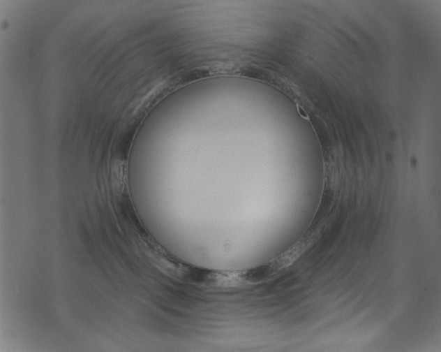 X0000074040093200608281455