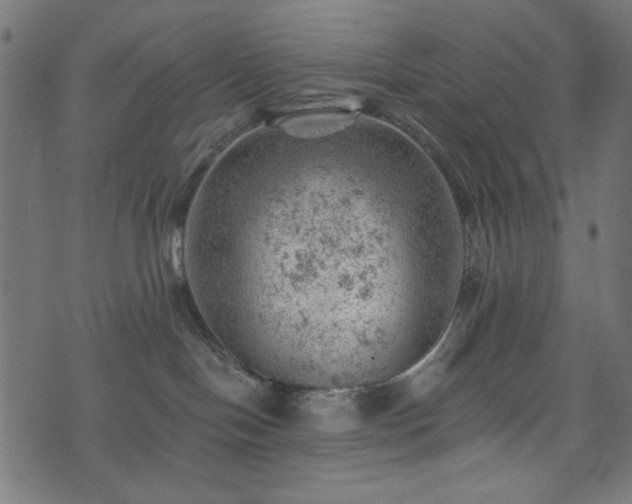 X0000074040094200608281455