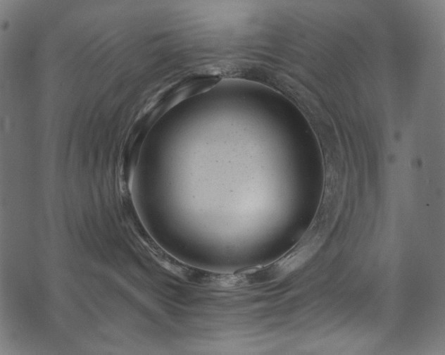 X0000074040096200608281455