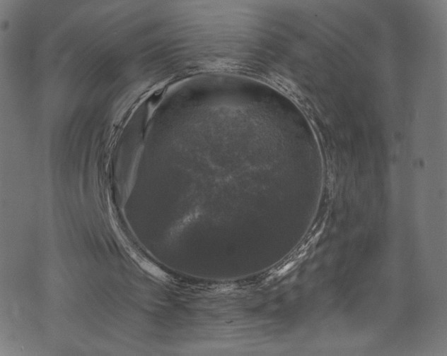 X0000074040097200608281455